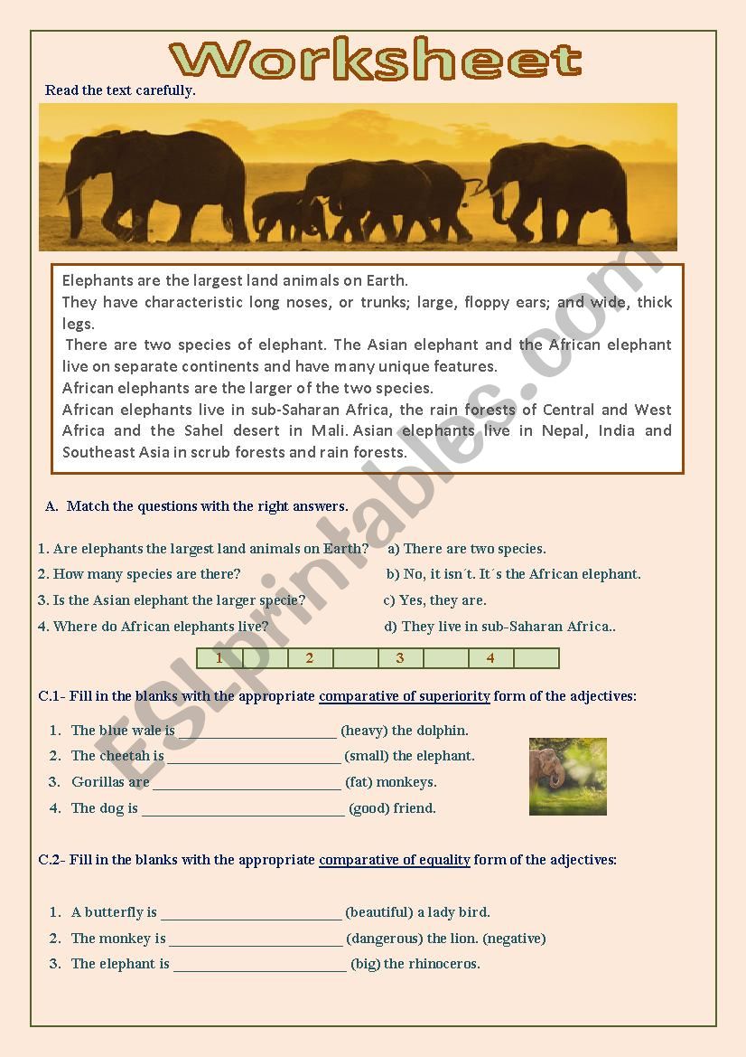 elephants worksheet