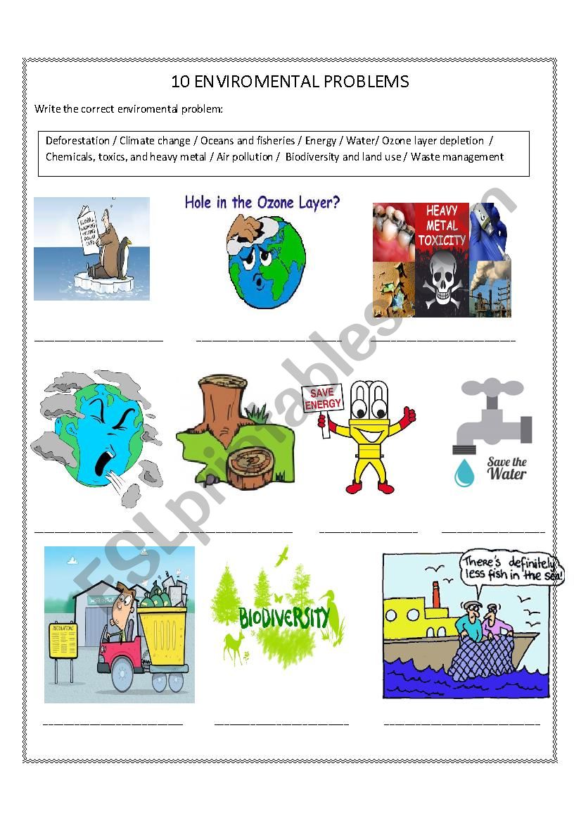 rural environmental problems assignment