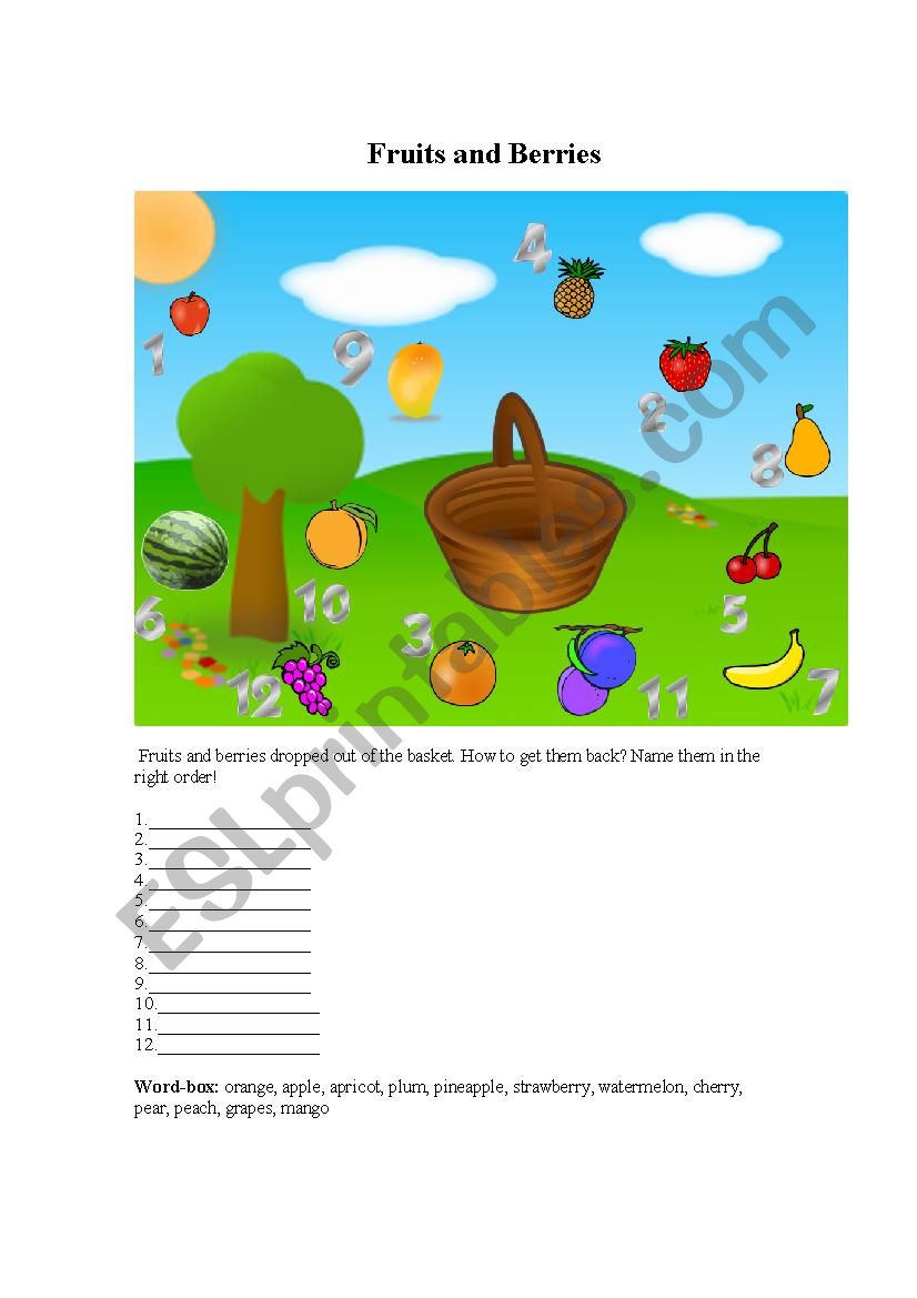 Fruits and Berries worksheet