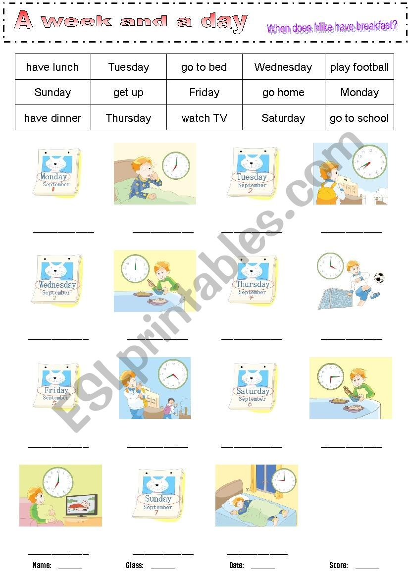 A week and a day worksheet