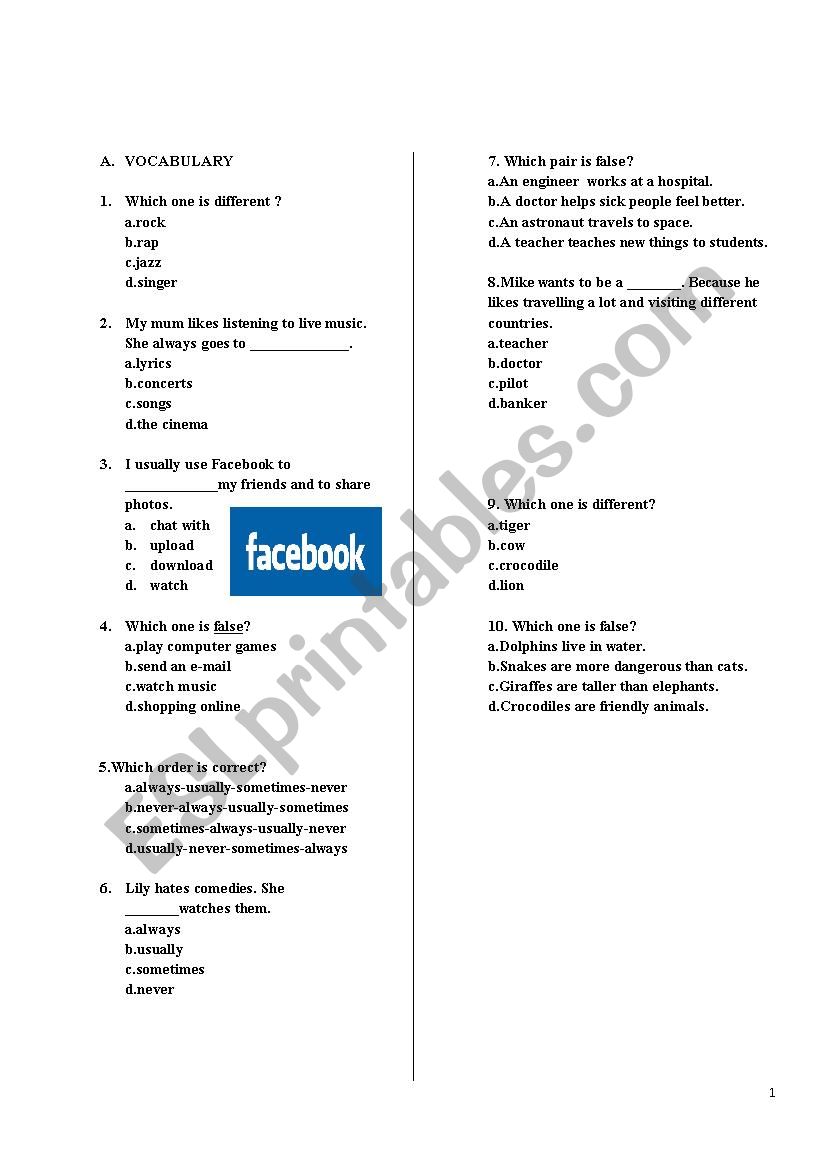 Multiple Choice Test for Elementary