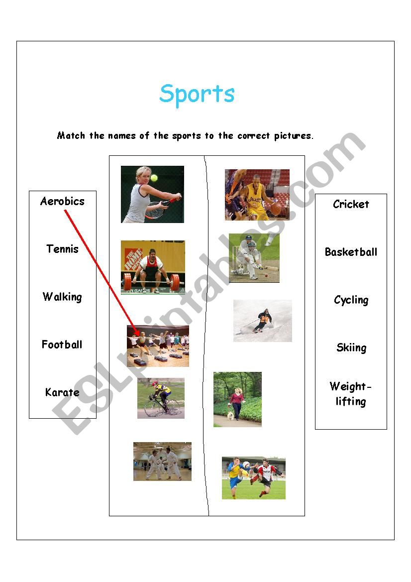 Sports worksheet