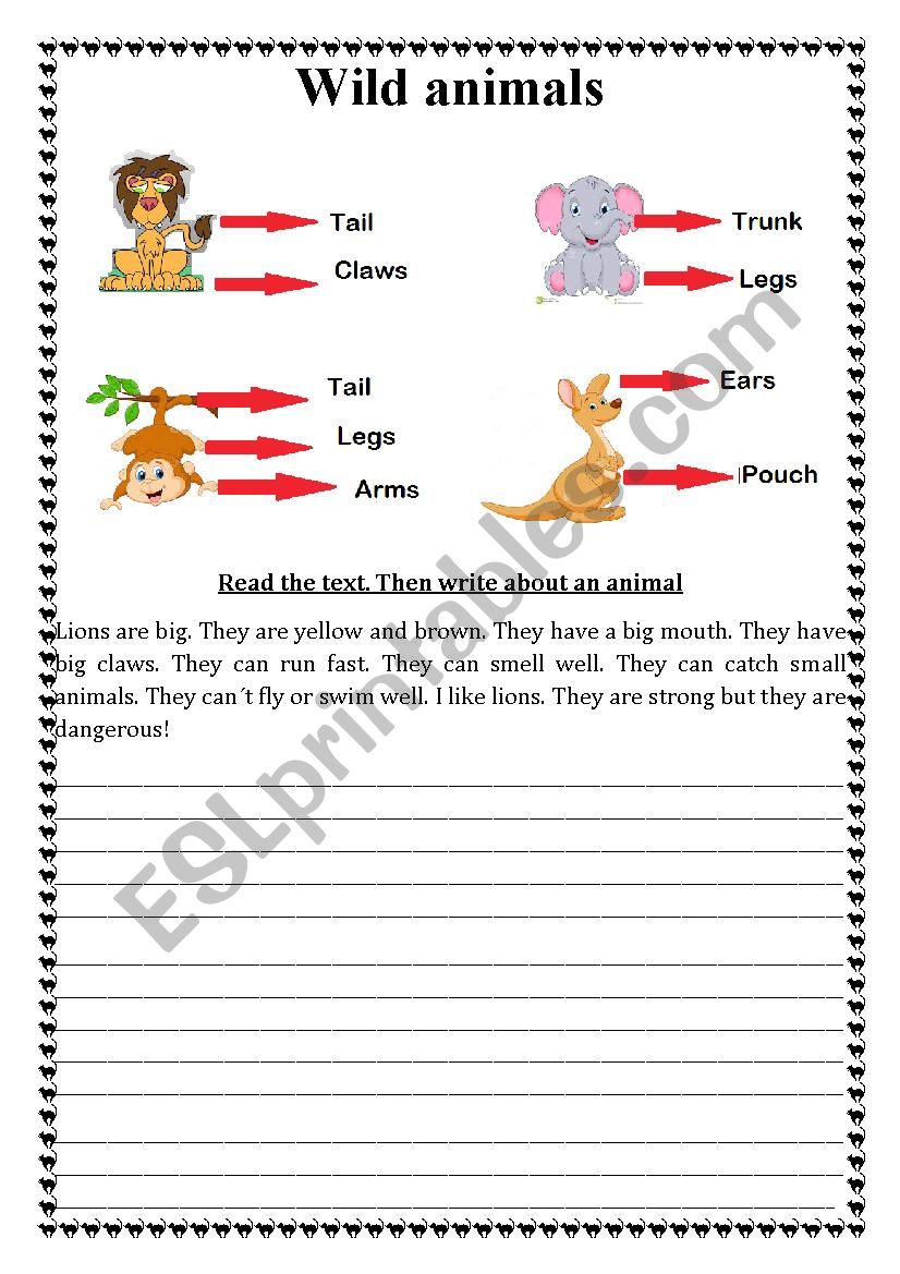 Wild animals worksheet