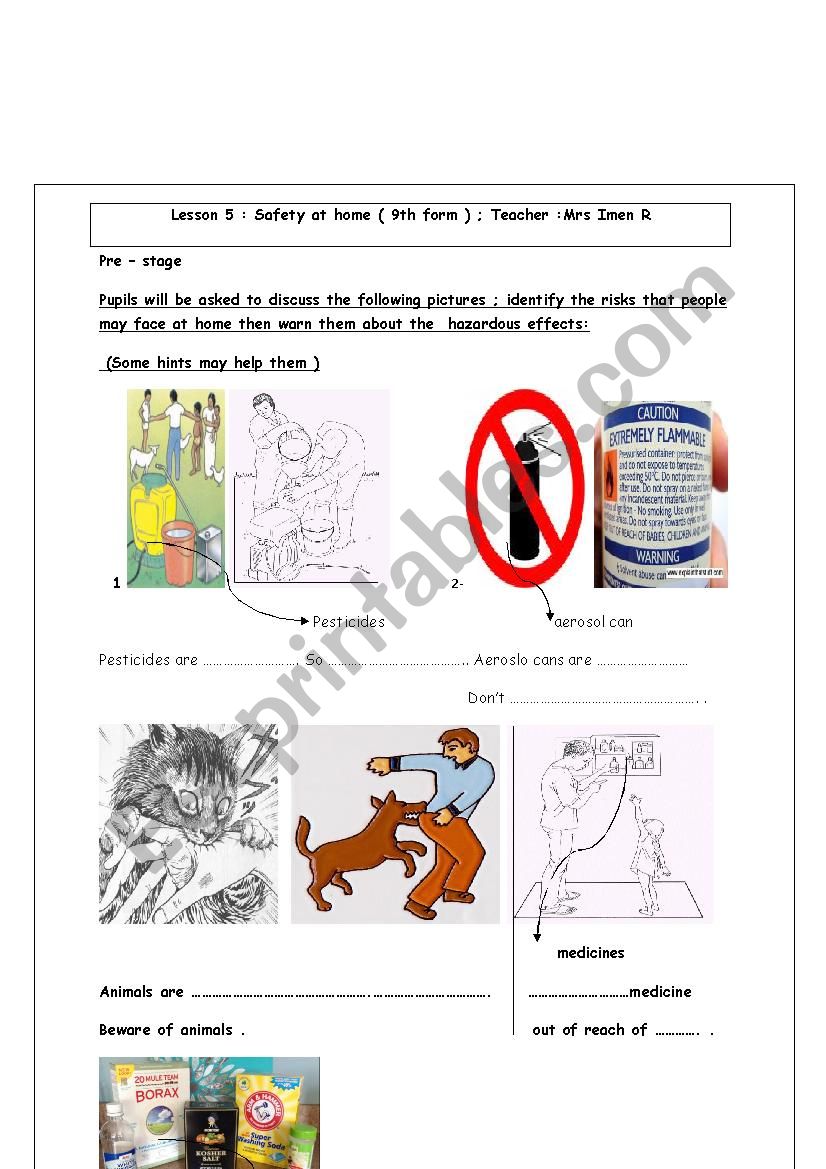 Lesson 5 Safety at home ( 9th form )