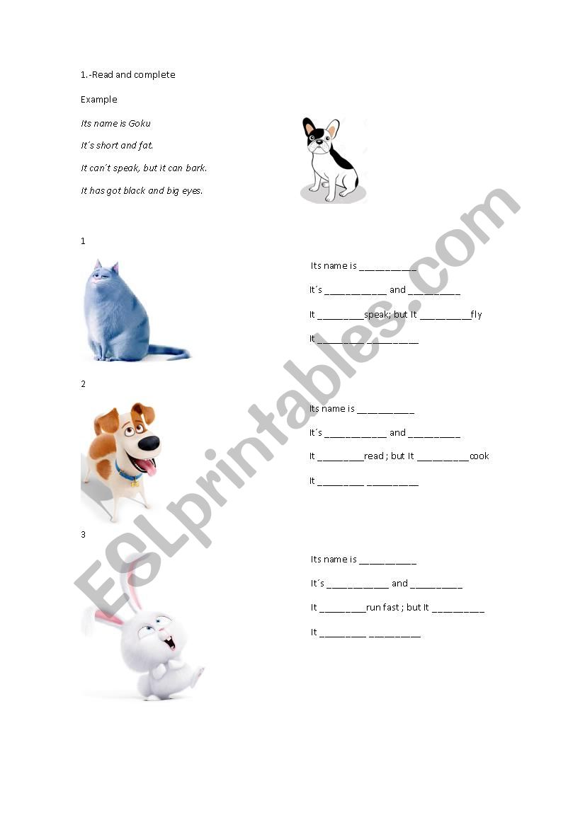 PETS worksheet