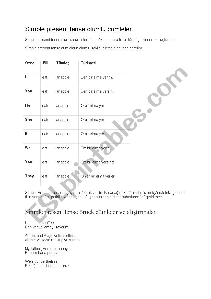 s present tense worksheet