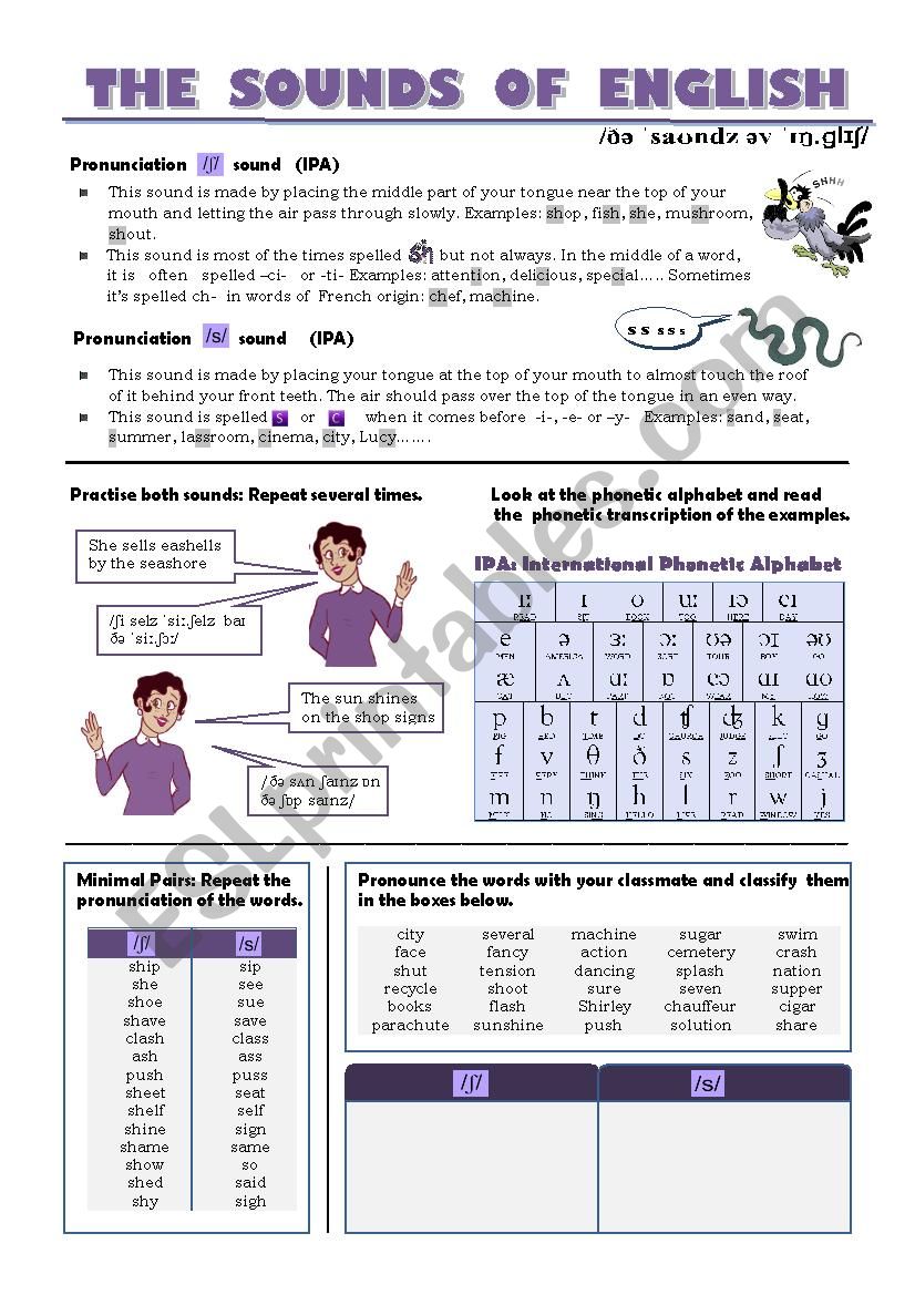 THE SOUNDS OF ENGLISH worksheet