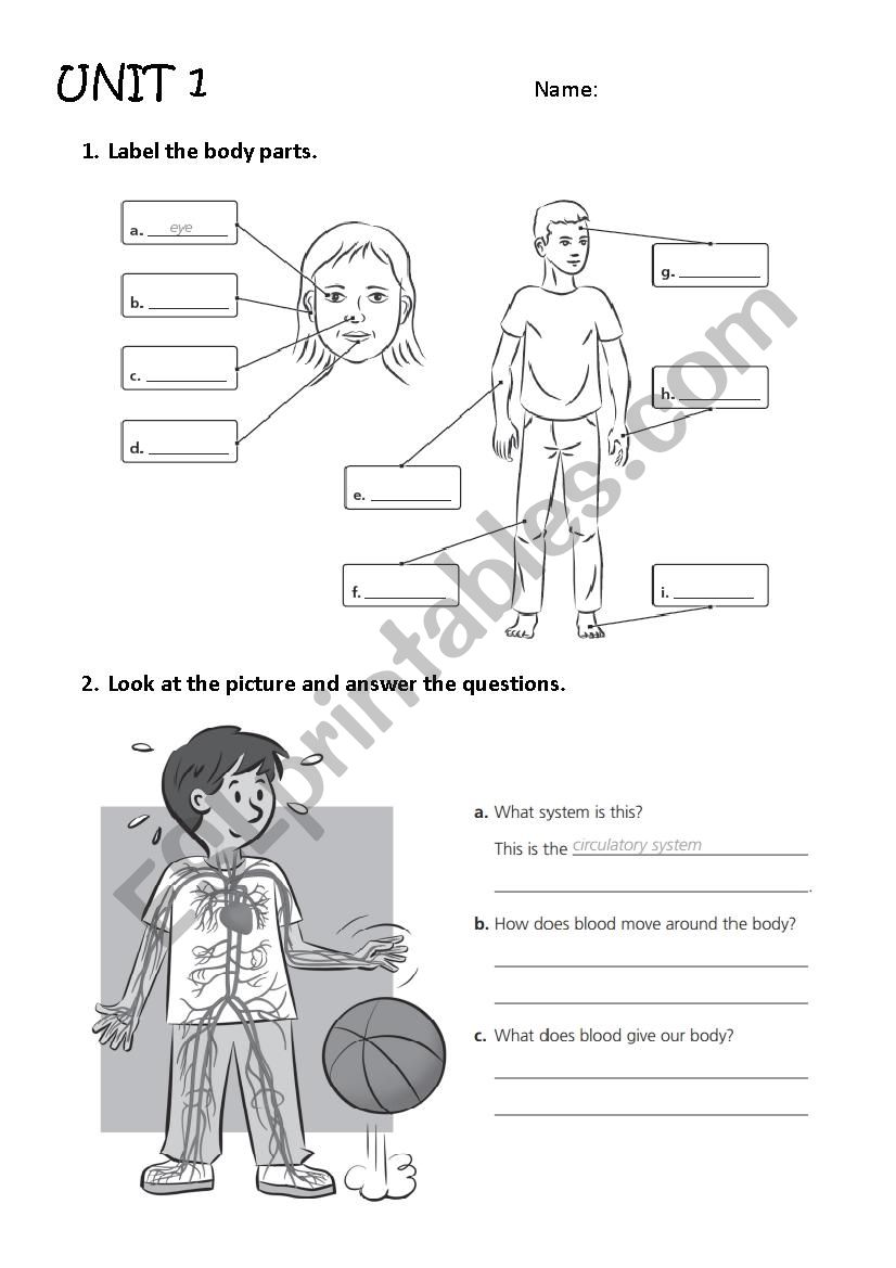 body parts, systems and senses Exam