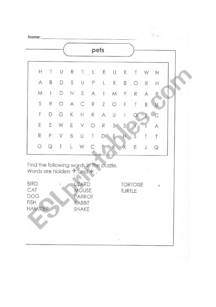 word search  pets worksheet