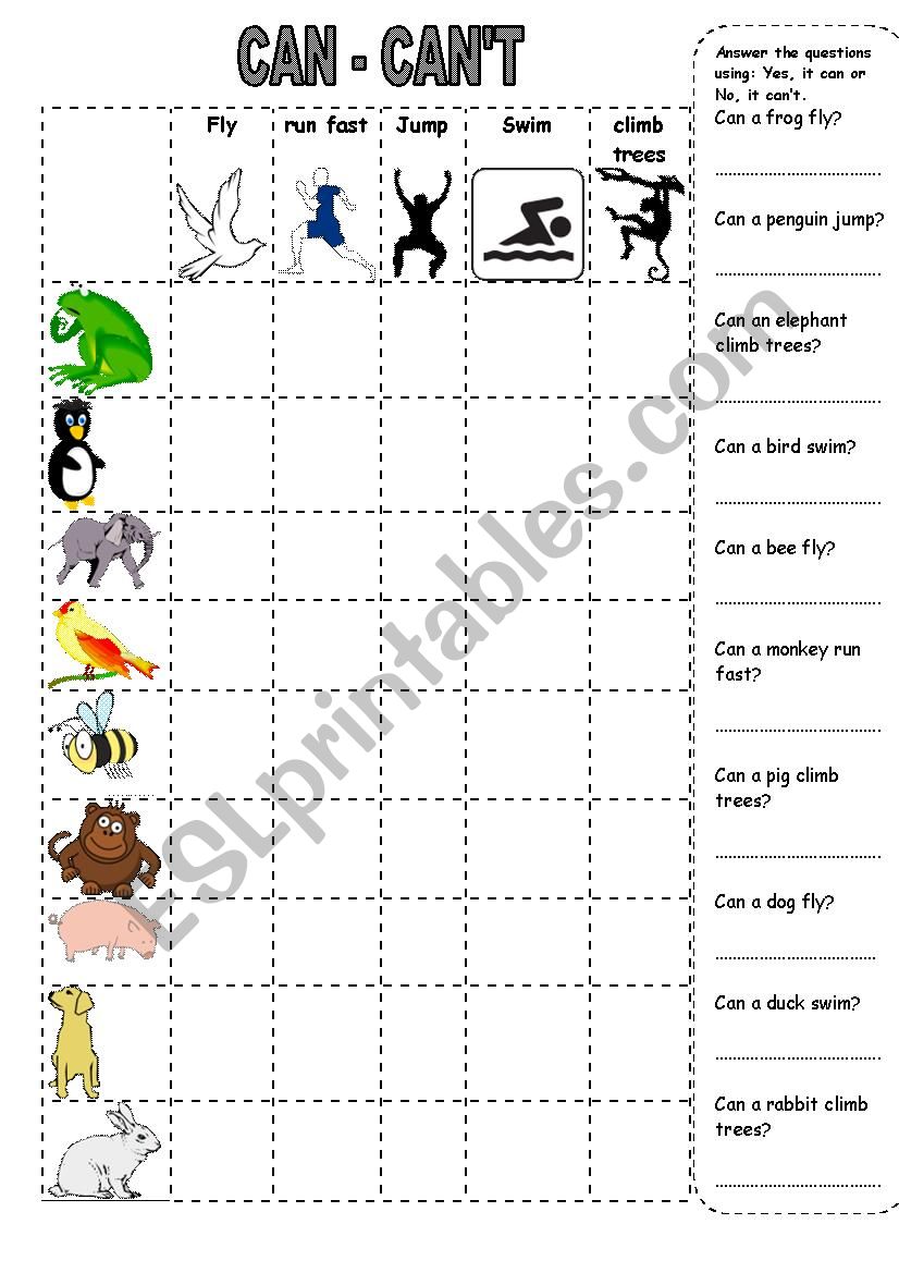 can cant  worksheet