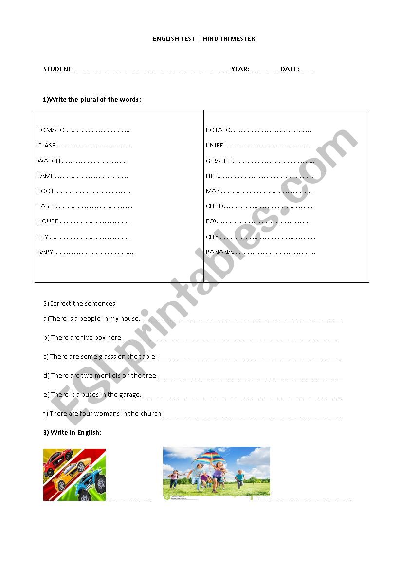 English test Plural worksheet