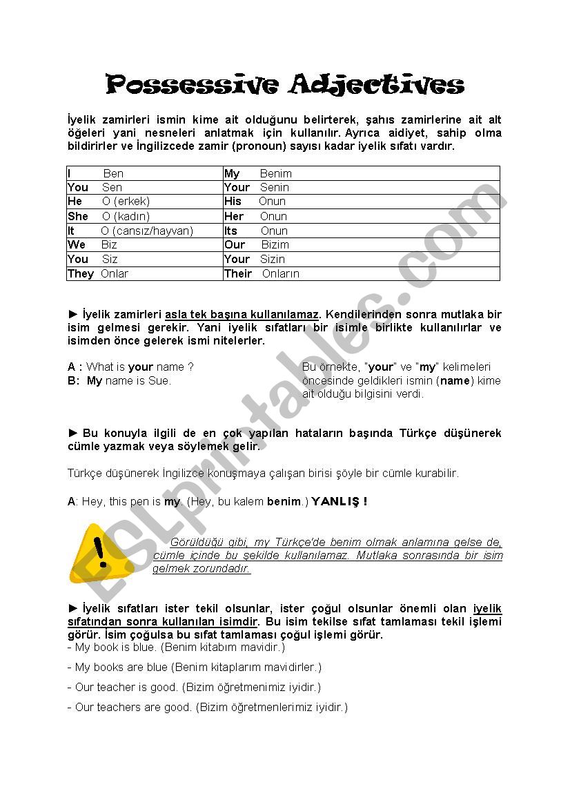 possesive adjectives  worksheet