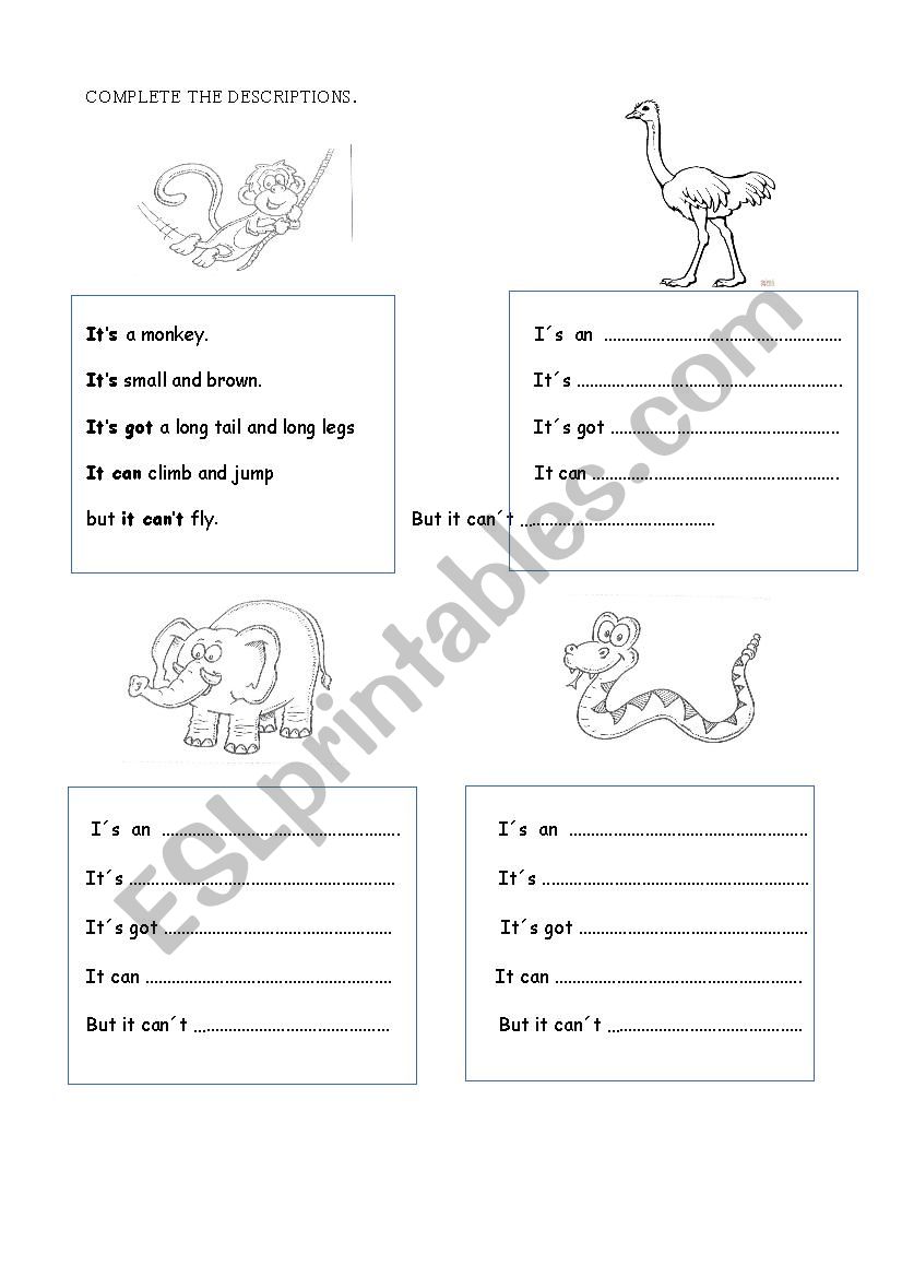 animal description worksheet