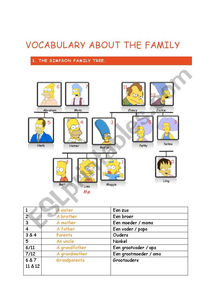 Vocabulary list family simpsons family tree