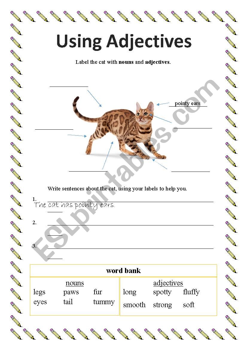 Using Adjectives worksheet