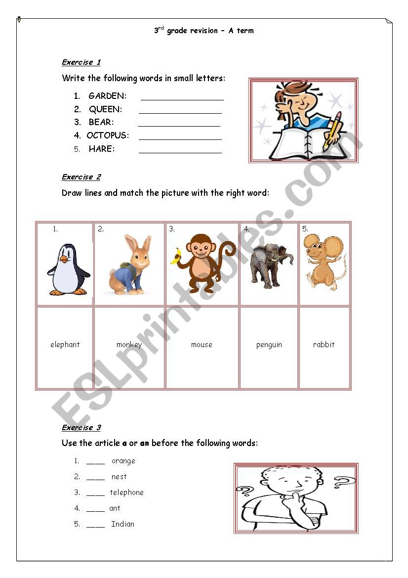 3rd grade-vocabulary revision-A term