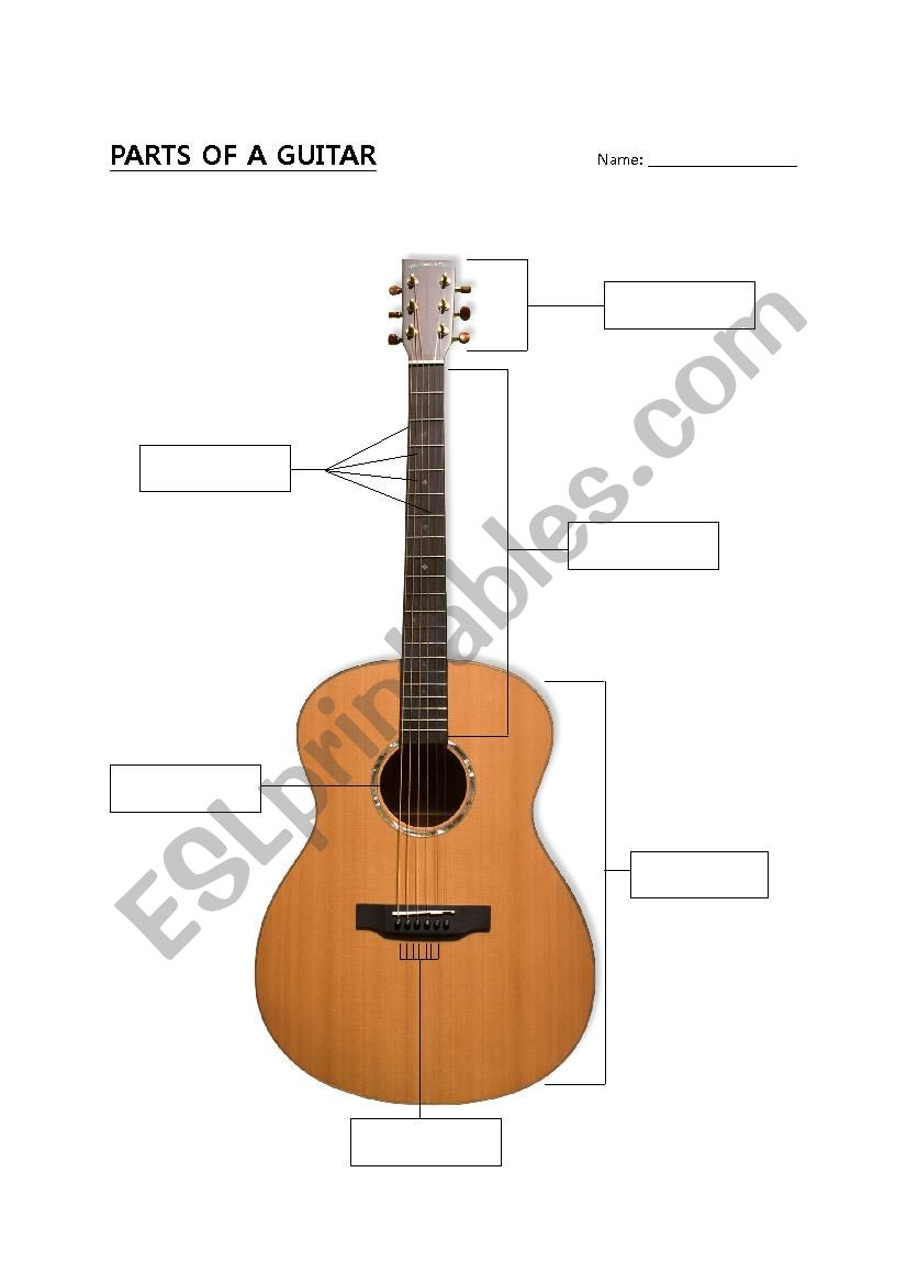 Parts of a Guitar worksheet