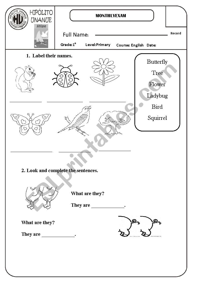 animals worksheet