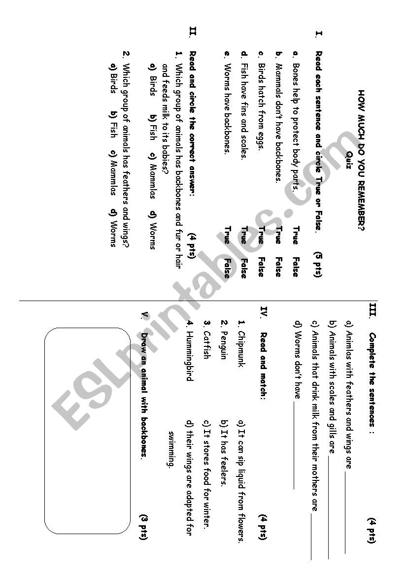 Science Quiz  worksheet