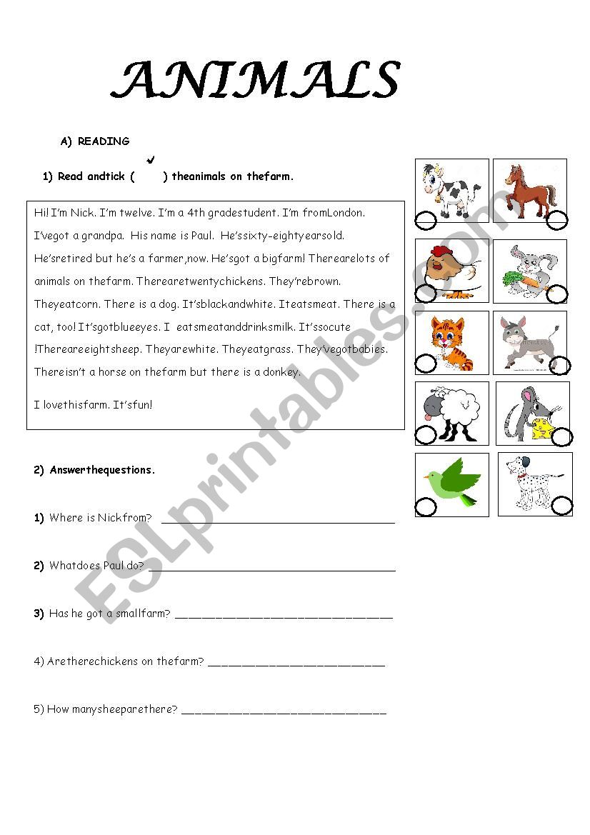 ANIMALS worksheet