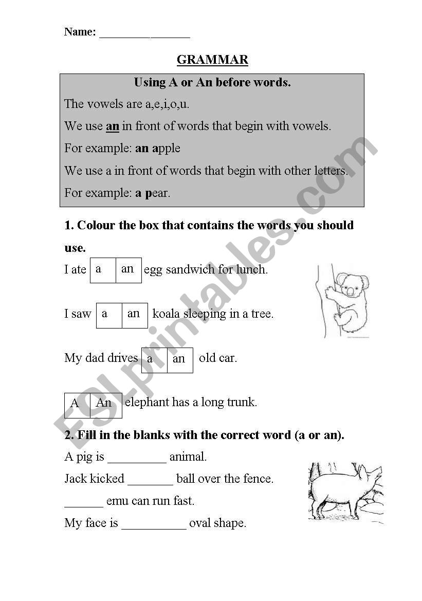 a or an? worksheet