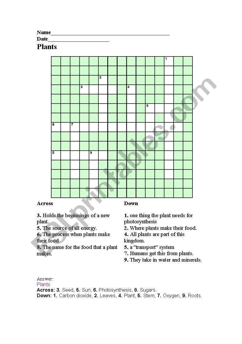 Plants cross word worksheet