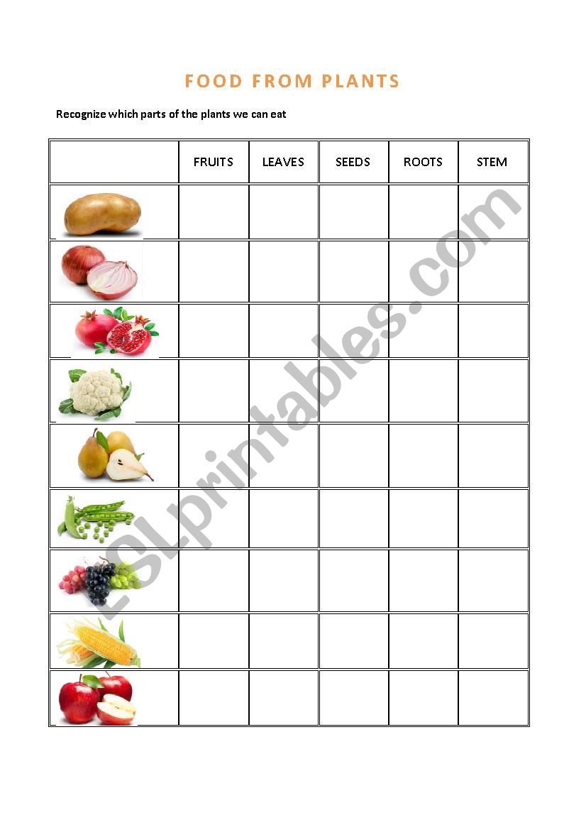 FOOD FROM PLANTS worksheet