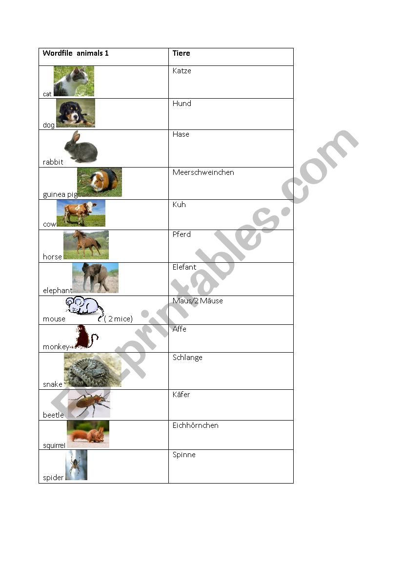 Wordfile animals basic 1 worksheet