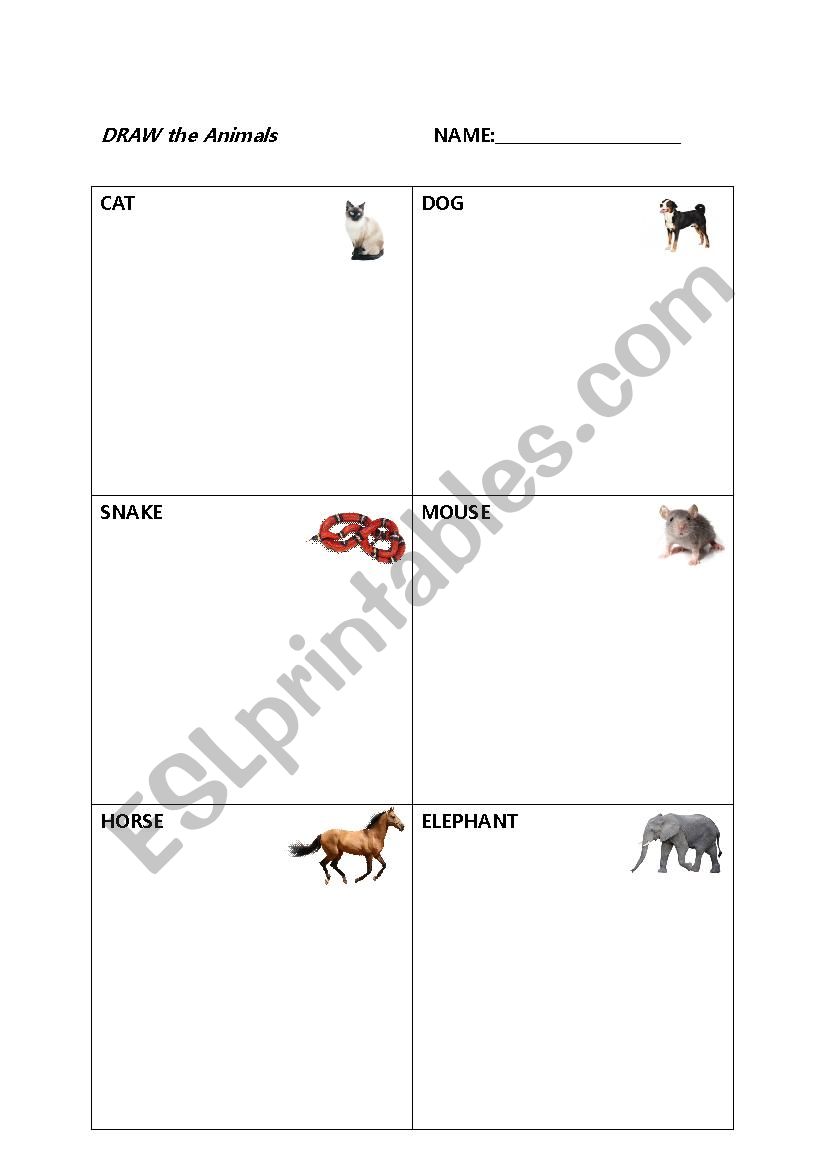 Animals worksheet