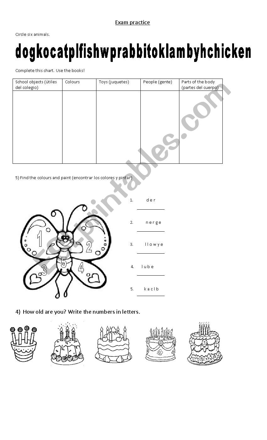 Exam practice kids 2 worksheet
