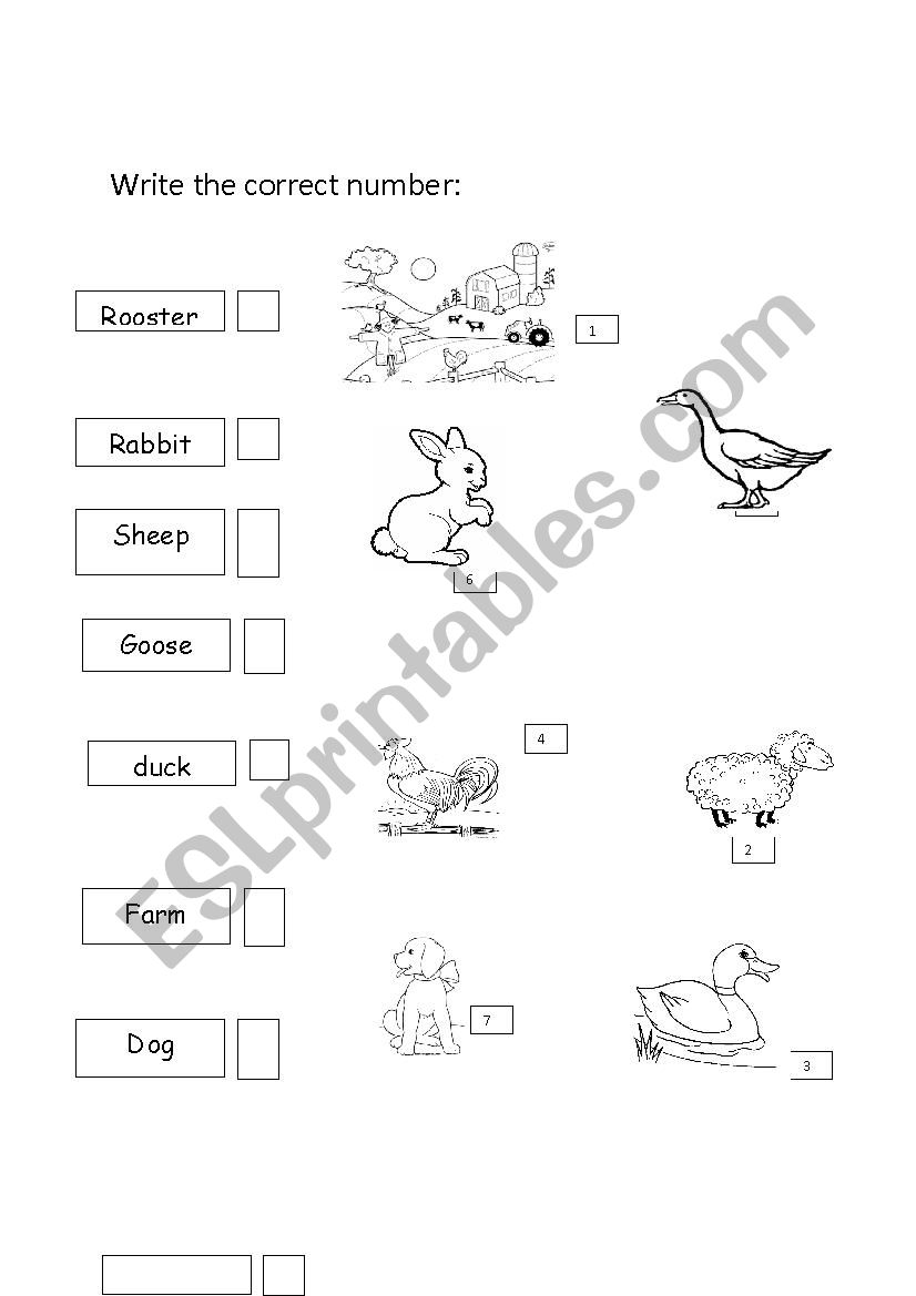 In the farm  worksheet