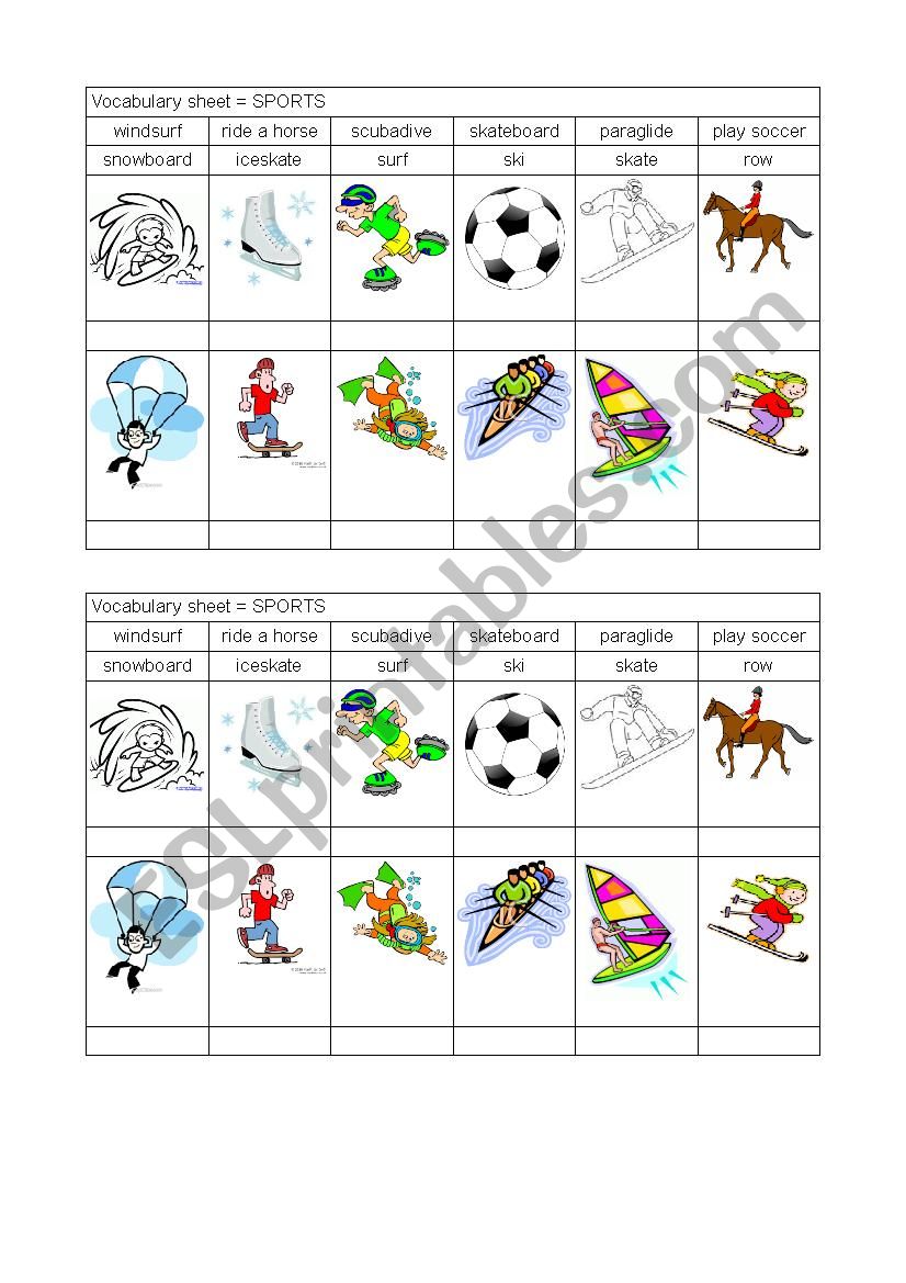 sport worksheet worksheet