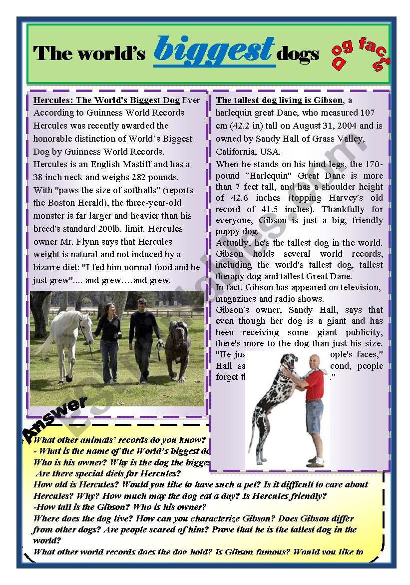 THE WORLDÂ´S BIGGEST DOGS. worksheet