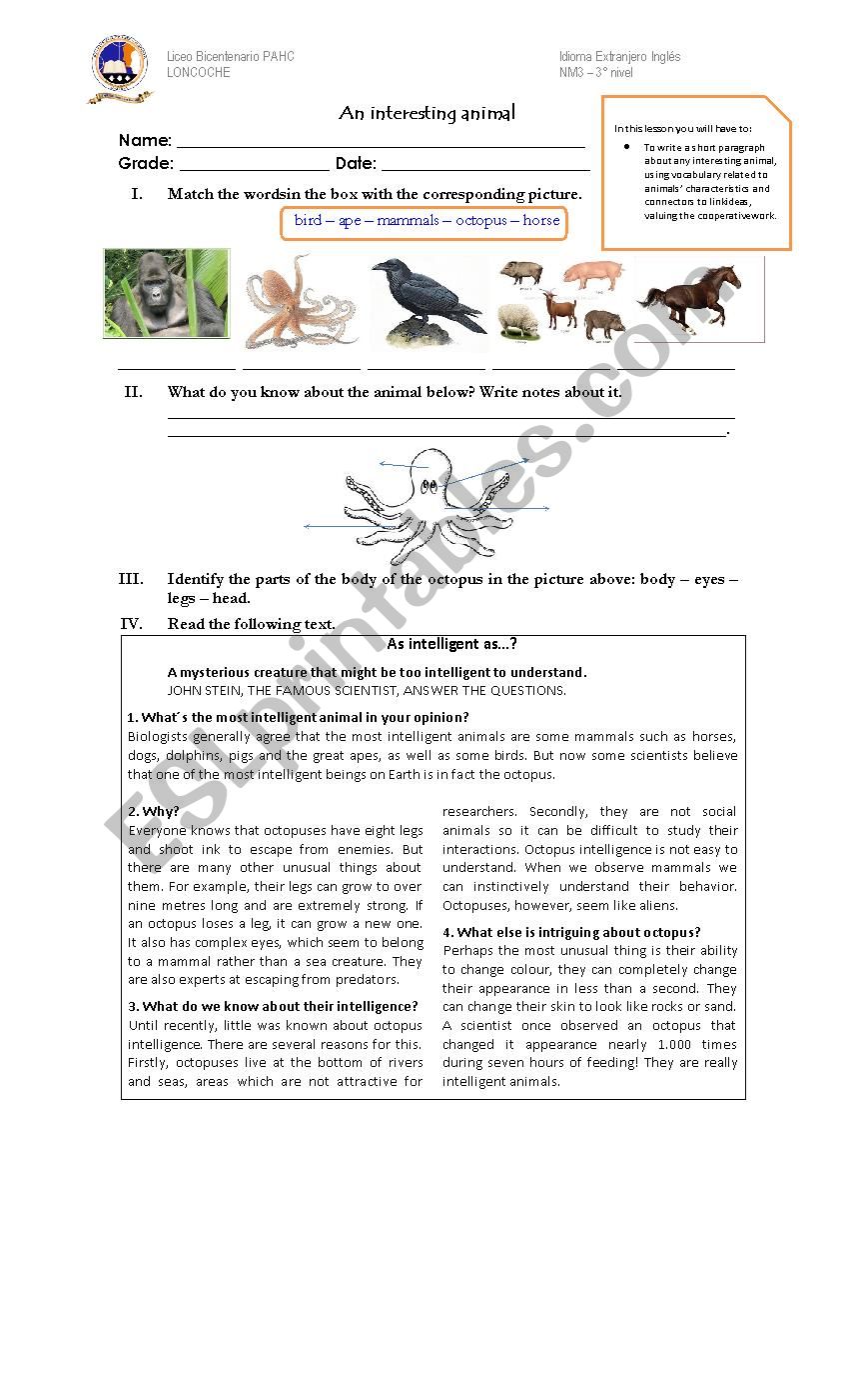 An interesting animal worksheet