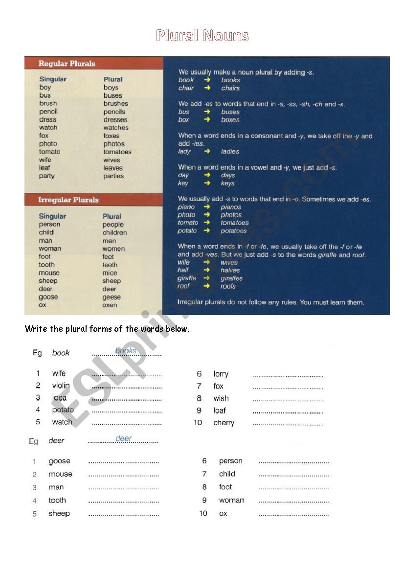 Plural Nouns worksheet