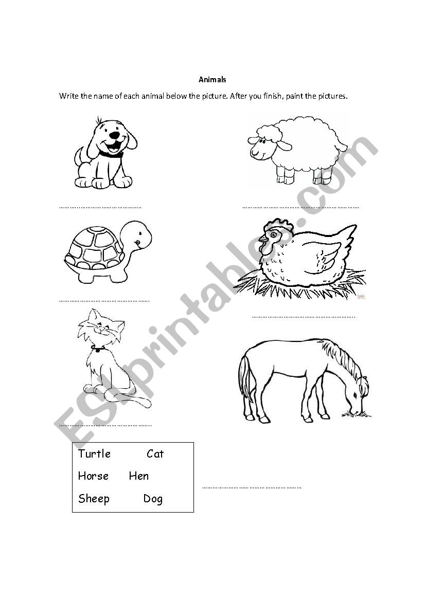 Animals worksheet