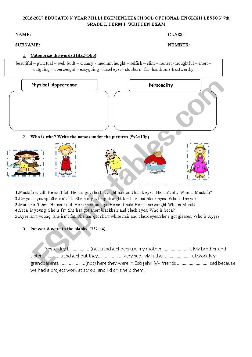 7th grade worksheet worksheet