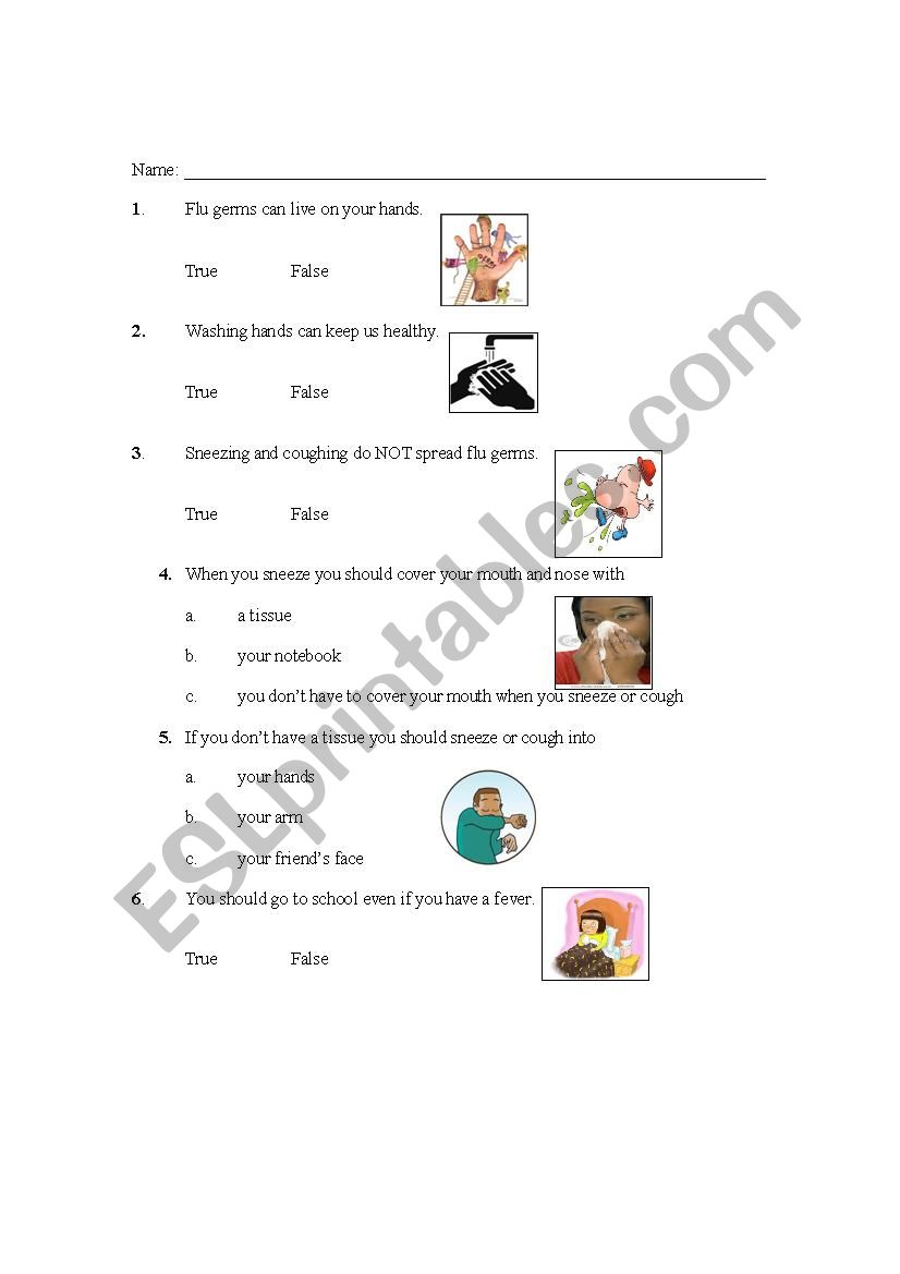 flu facts worksheet worksheet