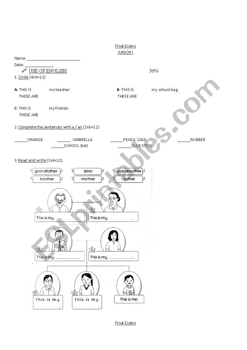 Final Exam for kids worksheet