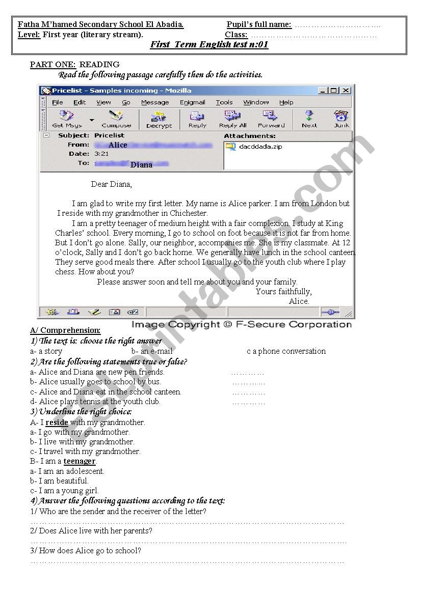 English test: diana e-mail worksheet