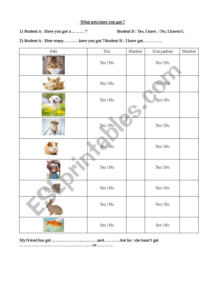 How many pets have you got ? worksheet
