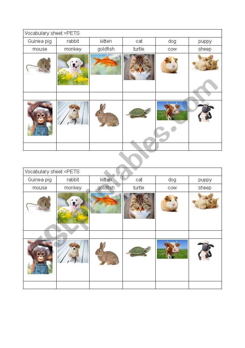 Pets worksheet worksheet