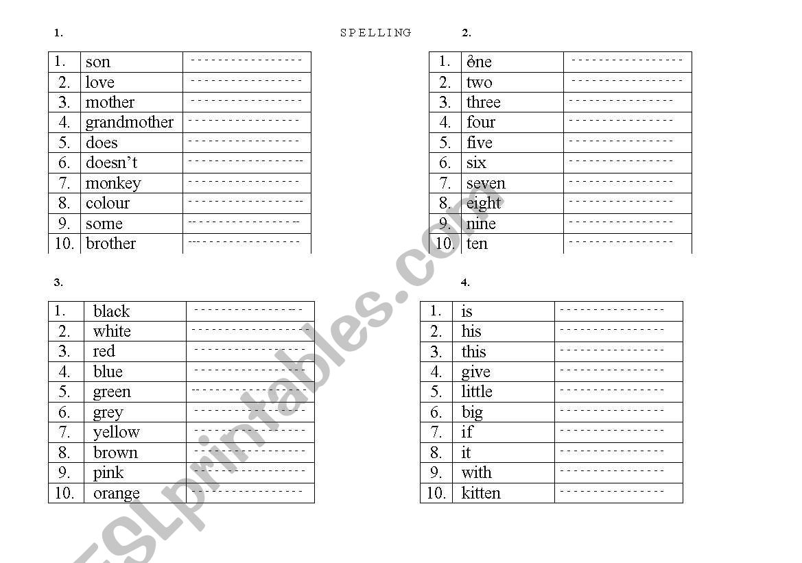 spelling worksheet