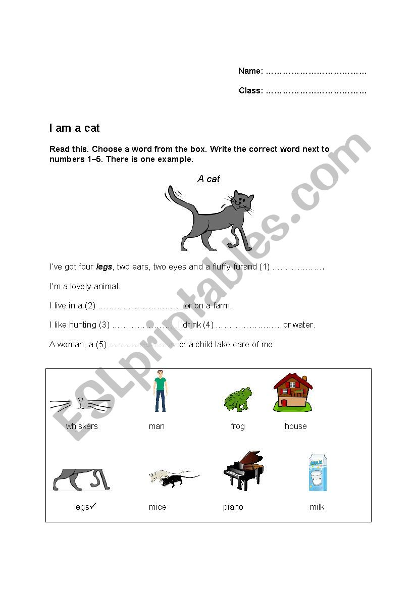 I am a cat worksheet