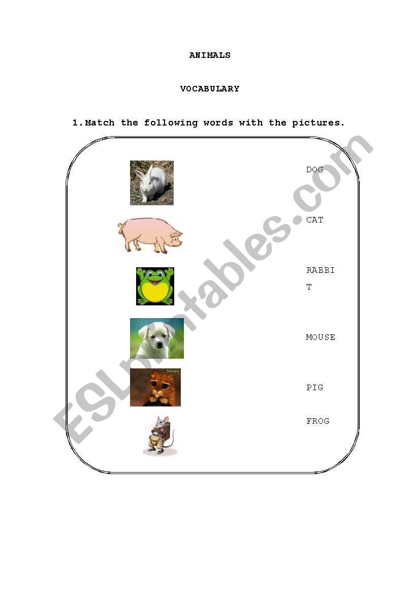 ANIMALS worksheet