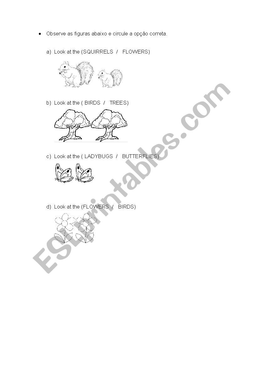 animals worksheet