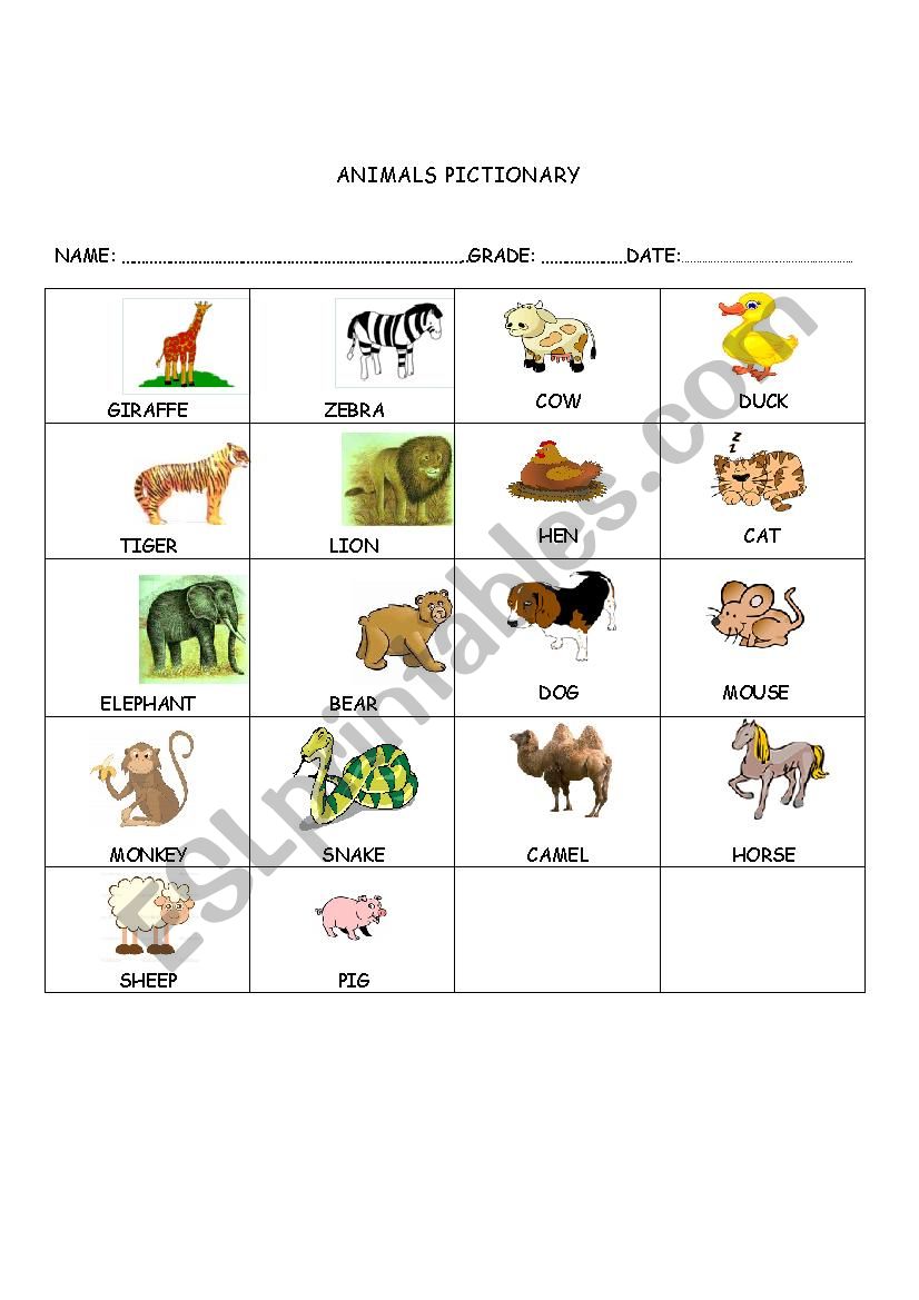 Animals Pictionary worksheet