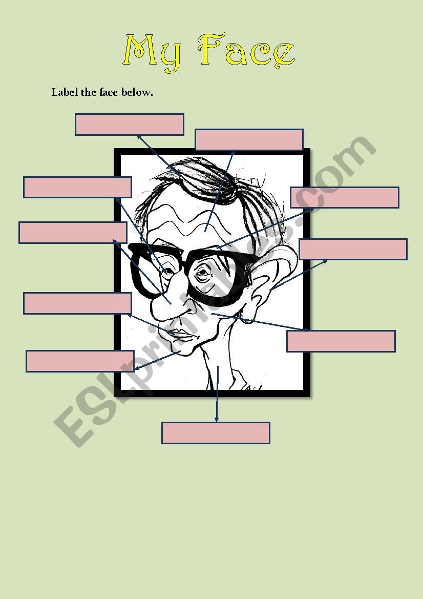 the parts of face worksheet