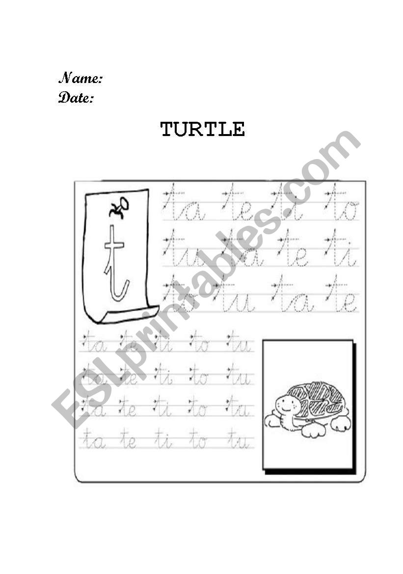 TURTLE PREWRITING worksheet