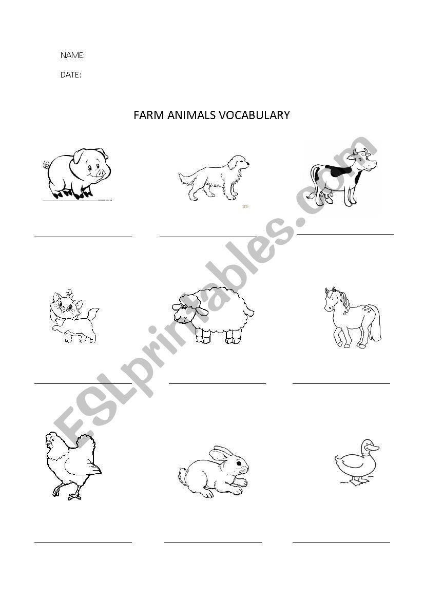 animals vocabulary worksheet